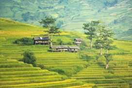 village-g55724117f_1920